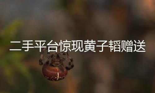 二手平臺驚現(xiàn)黃子韜贈送座駕，事件深度解析