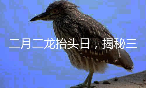 二月二龍?zhí)ь^日，揭秘三大傳統(tǒng)風俗