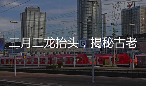 二月二龍?zhí)ь^，揭秘古老天文現(xiàn)象背后的神秘面紗