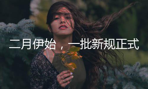 二月伊始，一批新規(guī)正式實施，引領社會步入新篇章