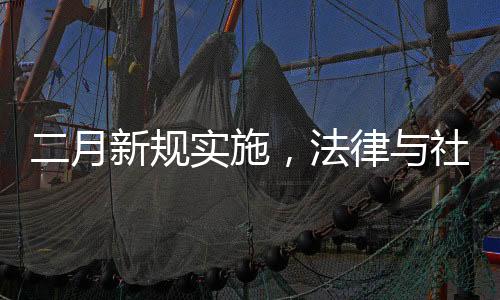二月新規(guī)實施，法律與社會共舞的新篇章