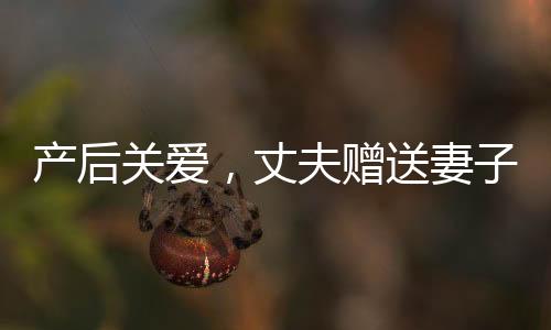 產(chǎn)后關(guān)愛，丈夫贈送妻子十萬元塔，傳遞溫情與關(guān)懷