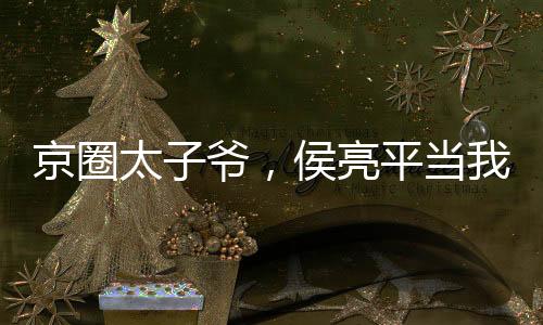京圈太子爺，侯亮平當(dāng)我軟柿子？