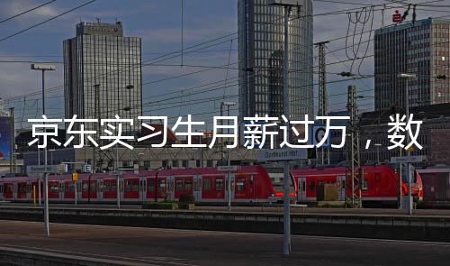 京東實習生月薪過萬，數(shù)字背后的故事與啟示
