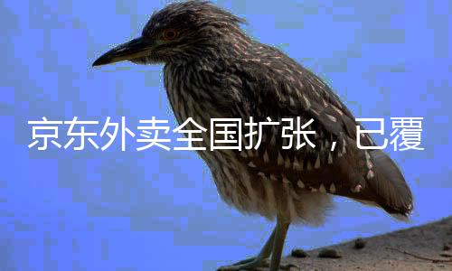 京東外賣全國擴張，已覆蓋39個城市，持續(xù)引領行業(yè)走向新高度