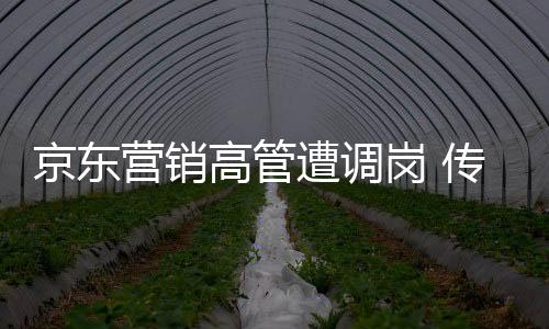 京東營銷高管遭調(diào)崗 傳與楊笠代言爭議風(fēng)波有關(guān)
