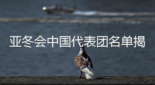 亞冬會(huì)中國(guó)代表團(tuán)名單揭曉，谷愛(ài)凌領(lǐng)銜出戰(zhàn)