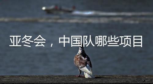 亞冬會，中國隊哪些項目奪金最多？盤點奪冠熱門領域