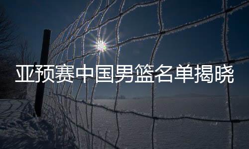 亞預(yù)賽中國男籃名單揭曉，精英匯聚，期待再創(chuàng)輝煌