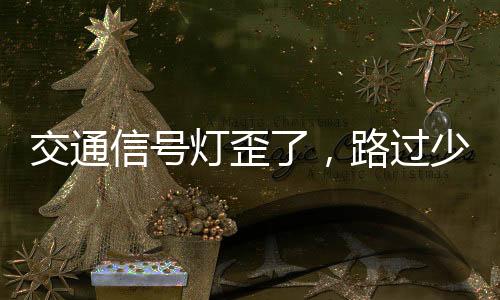 交通信號(hào)燈歪了，路過少年默默扶正