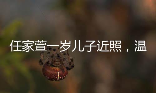 任家萱一歲兒子近照，溫馨家庭時光見證成長足跡