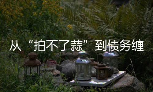從“拍不了蒜”到債務纏身，400年的張小泉怎么了？