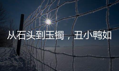 從石頭到玉鐲，丑小鴨如何變天鵝