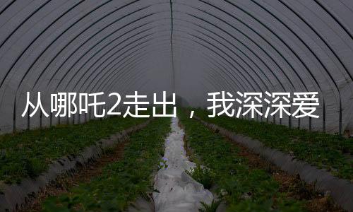 從哪吒2走出，我深深愛上了申公豹