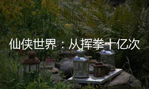 仙俠世界：從揮拳十億次開始
