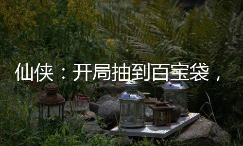 仙俠：開局抽到百寶袋，我無敵了