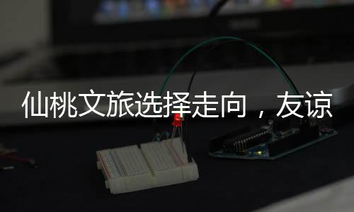 仙桃文旅選擇走向，友諒引領(lǐng)，非雷軍路線