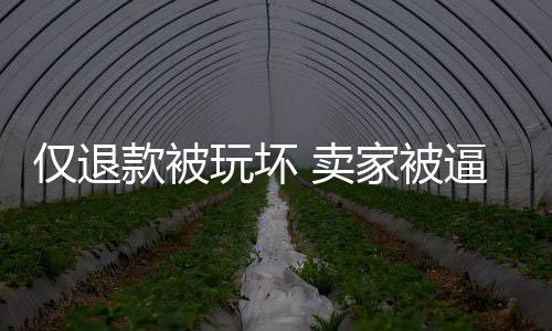 僅退款被玩壞 賣家被逼瘋：建議建立商家申訴處理機(jī)制