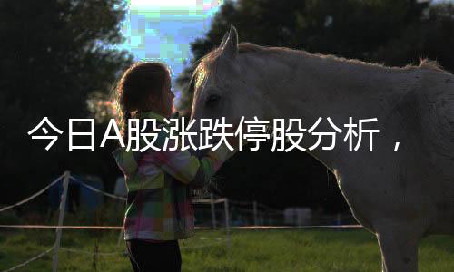 今日A股漲跌停股分析，140只股票漲停，市場走勢獨(dú)特
