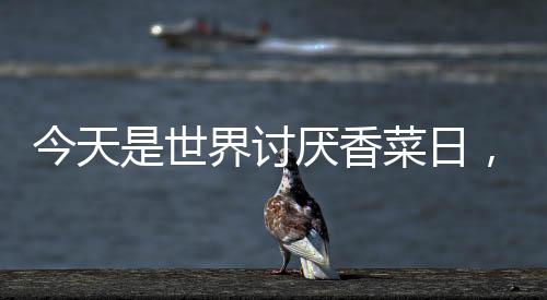 今天是世界討厭香菜日，一場關(guān)于味覺偏好的奇妙盛宴
