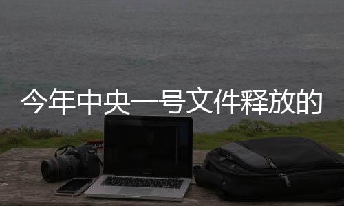 今年中央一號文件釋放的新信號，政策動向與未來展望