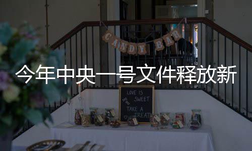 今年中央一號(hào)文件釋放新信號(hào)，重塑農(nóng)業(yè)農(nóng)村發(fā)展的多元策略