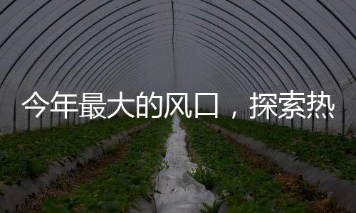 今年最大的風(fēng)口，探索熱點(diǎn)話題的全貌
