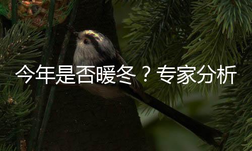今年是否暖冬？專家分析