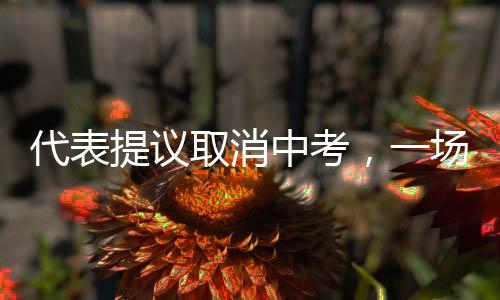 代表提議取消中考，一場關(guān)于教育改革的深度探討