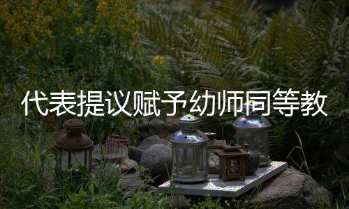 代表提議賦予幼師同等教師待遇，重塑行業(yè)價值的呼聲
