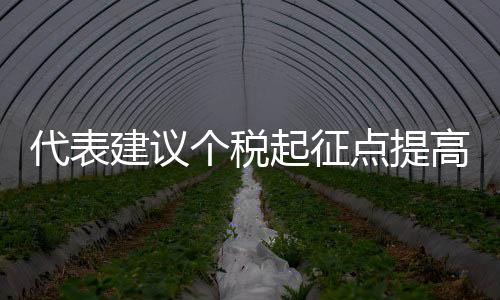 代表建議個(gè)稅起征點(diǎn)提高至10萬元，深化稅收改革，優(yōu)化民生福祉