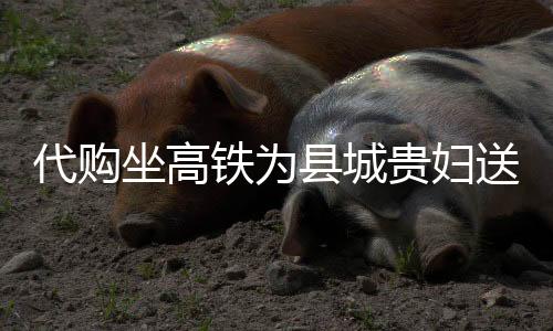 代購坐高鐵為縣城貴婦送上萬元蛋糕，跨越距離的美食情緣