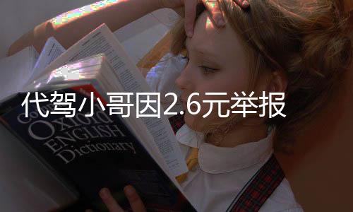 代駕小哥因2.6元舉報(bào)KTV有償陪侍，揭開暗夜的真相
