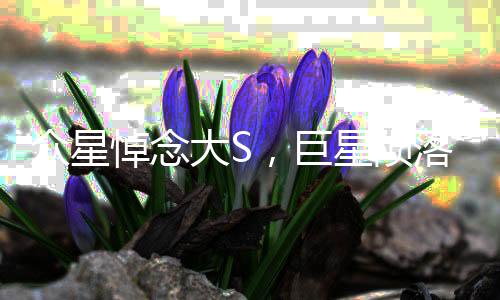 眾星悼念大S，巨星隕落，無盡懷念
