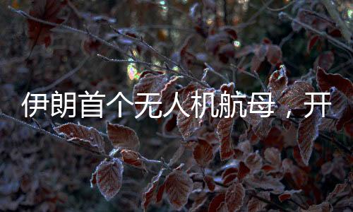 伊朗首個無人機(jī)航母，開啟新時代軍事科技新篇章