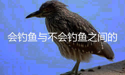 會(huì)釣魚與不會(huì)釣魚之間的沉默，一種理解與共鳴