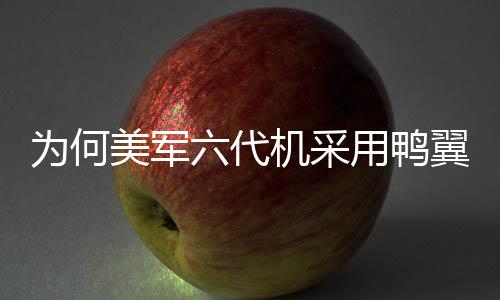 為何美軍六代機(jī)采用鴨翼設(shè)計(jì)并不被看好