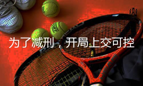 為了減刑，開局上交可控核聚變