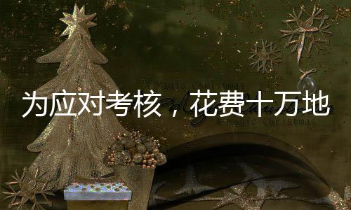 為應(yīng)對考核，花費(fèi)十萬地里插番薯，一種基層工作的現(xiàn)實(shí)寫照