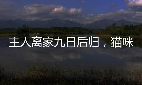 主人離家九日后歸，貓咪疏忽水淹廁所，產生高額水費令人驚訝