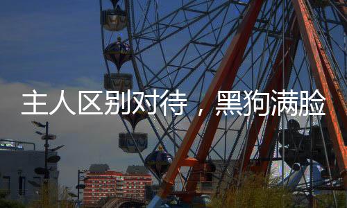 主人區(qū)別對(duì)待，黑狗滿臉委屈