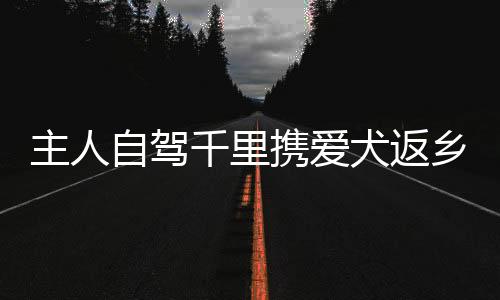 主人自駕千里攜愛犬返鄉(xiāng)，跨越萬里的旅程見證情感深長