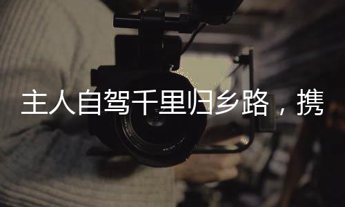 主人自駕千里歸鄉(xiāng)路，攜犬共度暖心時光