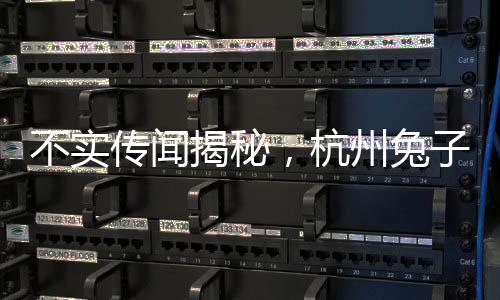 不實傳聞揭秘，杭州兔子警官崗位上被撞事件