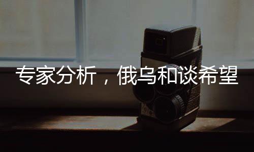 專(zhuān)家分析，俄烏和談希望依然渺茫