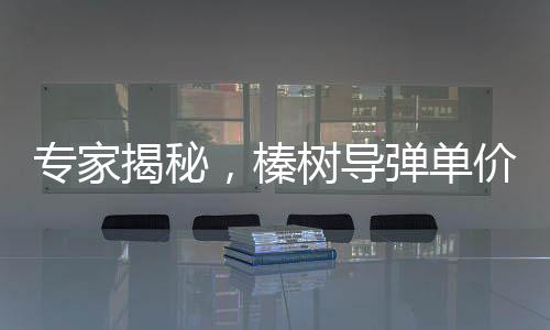 專家揭秘，榛樹導(dǎo)彈單價或超5000萬美元，引發(fā)國際關(guān)注