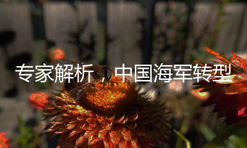 專家解析，中國(guó)海軍轉(zhuǎn)型為戰(zhàn)略性海軍的重大意義