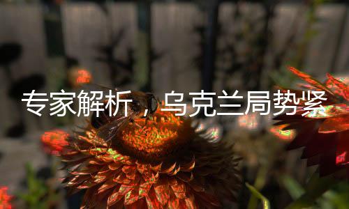 專家解析，烏克蘭局勢(shì)緊張，和平前景堪憂
