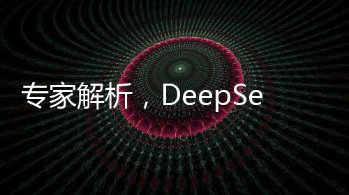 專(zhuān)家解析，DeepSeek項(xiàng)目的成功究竟是誰(shuí)的勝利？