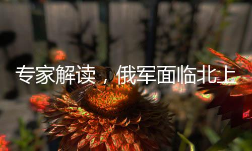 專家解讀，俄軍面臨北上西進戰(zhàn)略抉擇